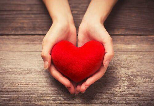 Gratitud, ingratitud y envidia